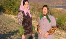 高粱红电视剧,烽火岁月里的青春传奇